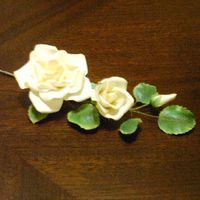White Roses Full, half and white rose bud flower with rose leaves