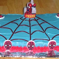 Spiderman this was my very first bday cake I have ever made, I used pull and peel twizzlers fot the web