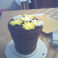 Flower_Pot_Cake.jpg This is my first attempt at a flowr pot cake...Could be some improvements, but overall for a first attempt, I am happy with it..I made this...