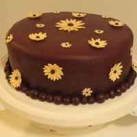 Chocolate Daisy Cake Chocolate cake with mocha chocolate buttercream on the inside and chocolate mmf on the outside. Daisies are ivory(as per wedding colours)...