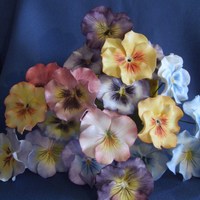 Pansies Of Many Colors 