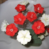 Red & White Petunias 