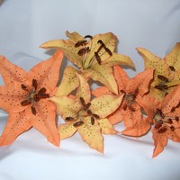 Fall Tiger Lilies I am totally amazed by the colors through others eyes. These are orange dusted with flame and brown as well as yellow dusted with popy red...