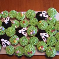 Bunny's Going In Grass Hole Cupcakes 