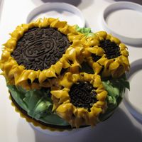 Sunflower Cupcakes 