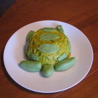 Turtle Cake 