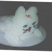 First Carved Cake THIS WAS THE FIRST TIME CARVING ANYTHING . TURNED OUT O. K.