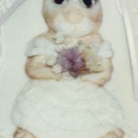 Rabbit Bride 