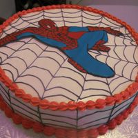 Alex Bday I made this cake for my nephew he love spiderman