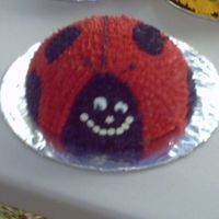 Lady Bug This was my nieces "own" cake for her 1st b-day.