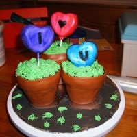 Mothers Day my first time trying something "out of the box" i baked them in clean terra cotta pots but umm didn't line them with wax...