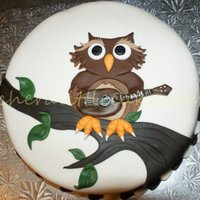 Owl I was asked if I could make a cake for an anniversary that represented the couple. The wife was well known for her owl collections and the...