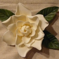 Gardenia I was inspired by the wonderful Jacqueline Butler of PetalSweet. Her flowers are gorgeous.