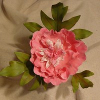 Peony 