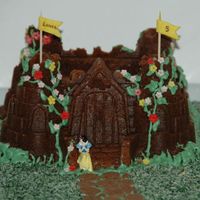 Bundt Castle This is a chocolate bundt cake using a Nordic Ware bundt castle pan.Royal icing for the decorations, shredded and dyed coconut, and little...