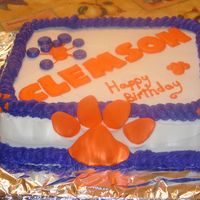 Clemson Cae With Color Flow 