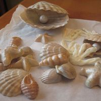 White Chocolate And Gumpaste Shells These are White Chocolate and gumpaste. The large shell and small shell with pear are gumpaste. The other shells are white chocolate. I...