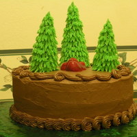 Black "forest" Cake I made this cake for my funny, yet quite sarcastic, brother-in-law. He asked for a black forest cake. Had I just presented him with a...