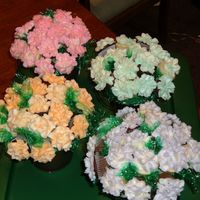 Dscf3677.jpg Cupcake bouquets I made for my daughters teachers. I was so frustrated because my icing was melting and my mixer broke while I was making...