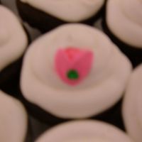 Cupcakes I Did To Accompany The Ballet Shoes Cake. WASC cake and chocolate with raspberry filling. The top was Bettercreme. My first time trying that I loved it!