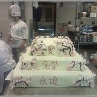 Final Exam For Intro. To Cakes Inspired by a couple of cakes I saw on here. Inside is an Almond Sponge cake and Orange Buttercream. Outside covered in fondant. Branches...