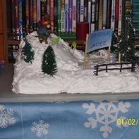 Snow Valley Granddaughter wanted a snow cake. So this is what I came up with.
