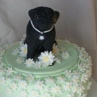 Milly The Pug Fondant with tylose added.