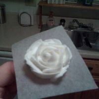 Wilton Rose This is my first attempt at a Wilton rose. Not bad!