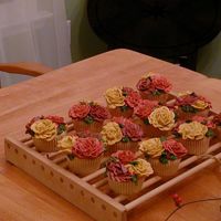 Autumn Cupcakes 