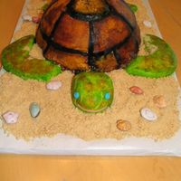 Sea Turtle Birthday Cake First attempt at fondant and at painting. My daughter wanted a sea turtle cake for her birthday so I gave it a try!