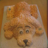 Puppy Cake My first sculpted cake - puppy for my daughter's birthday. Thank you for all of the tutorials, pictures and threads to review. They...
