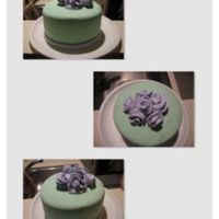 Mint Cake This is one of the first cakes I ever made/decorated. It is a chocolate cake with mint flavored fondant.