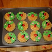 Ladybug Cupcakes Ladybugs made from Wilton Fondant. Learned my lesson. Only the kids thought they tasted good.
