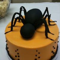 Spider All edible.