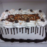 Turtle Cake This is pralines n cream ice cream on a white cake, with caramel topping and pralines (and my favorite, caramel filled chocolate turtles......