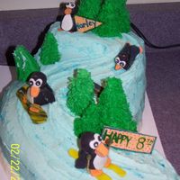 Birthday Snow Skiing Was made for my nephew who for his 8th birthday got to go snow skiing for the 1st time so he thought he needed a snow skiing cake for his...
