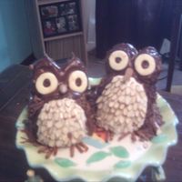 Owls I totally copied these cakes from someone on this website. They were really fun to make.