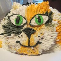 Calico Kitty Cake Vanilla cake with vanilla filling and bc dream frosting. Body is soccer ball pan, head and tail are oatmeal chocolate chip cookies.