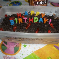 Granddaddy's Worm Cake My dad raises his own worms for his garden in a shoe box so I made him a dirt cake in a shoe box for his birthday.