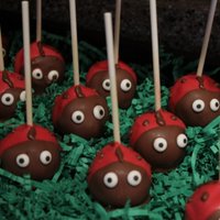 Lady Bug Cake Pop Not sure where to post this picture. It was for a friends babies 1st birthday. Mixture of Chocolate and White cake.