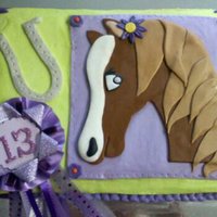 Horse Cake 9x13 sheet cake, vanilla/vanilla, frosted in lime green buttercream with the horse plaque made of fondant. I know lots of people don't...