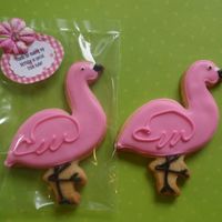 Pink Flamingo NFSC and Antonia74