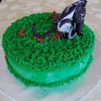 Doggy Doo Birthday OK so you are probably wondering why I would make a cake like this. Well, I called my nephew who is in college and asked him if I made him...