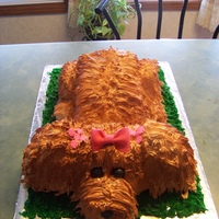 Pretty Puppy My first 3D cake!
