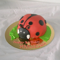 Harleigh White cake with chocolate buttercream filling. Black icing is chocolate, red is fondant.