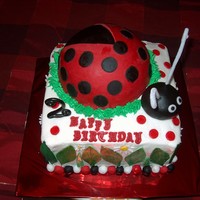 Lady Bug Cake Inspired from other cakes I have seen here on CC.
