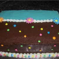 Simple Baby Shower Made for a simple 3rd baby shower. I used the colors of the nursery. White chocolate whipped frosting for the teal and the border. Royal...