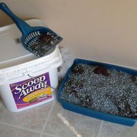 April Fools Cat Box Cake I made this to fool my kids on April Fools Day. I dirtied up the scooper with royal icing smeared on it and then placed cat poop formed...