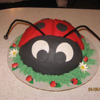 Lady Bug Cake Lady Bug Cake with green buttercream grass with white daisies and 6 gumpaste lady bugs around the cake sitting on the grass.