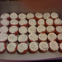 Swim Team Cupcakes Red velvet cupcakes and tinted gray buttercream for a high school swim teams colors
